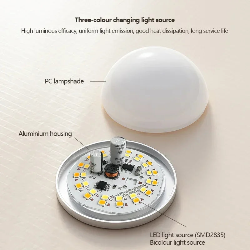 Solara Luxe Pendant Lamp
