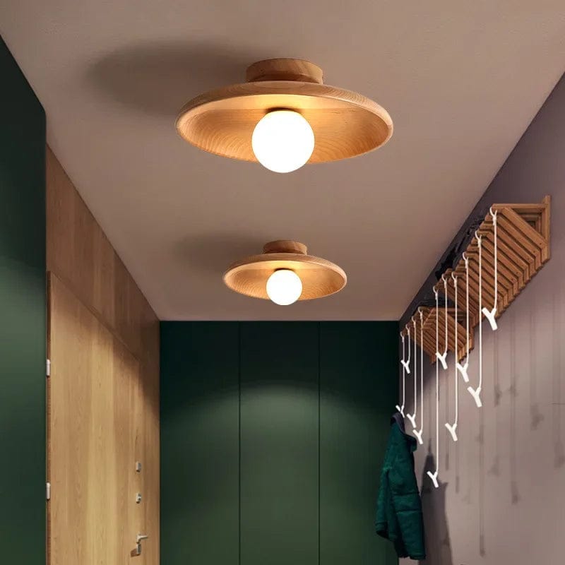 Luna Nova Pendant Lamp