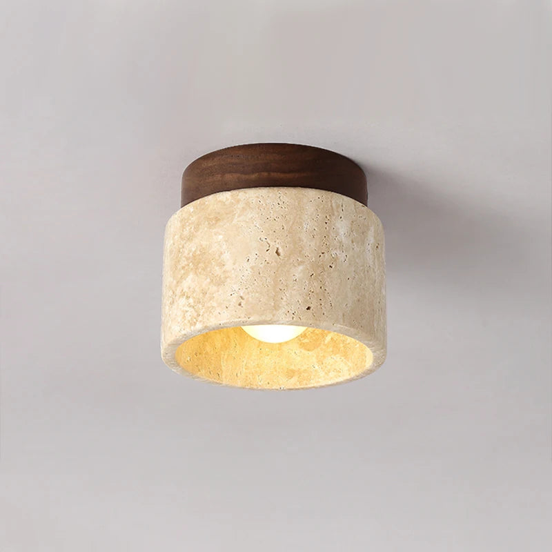 Stellar Arc Pendant Lamp
