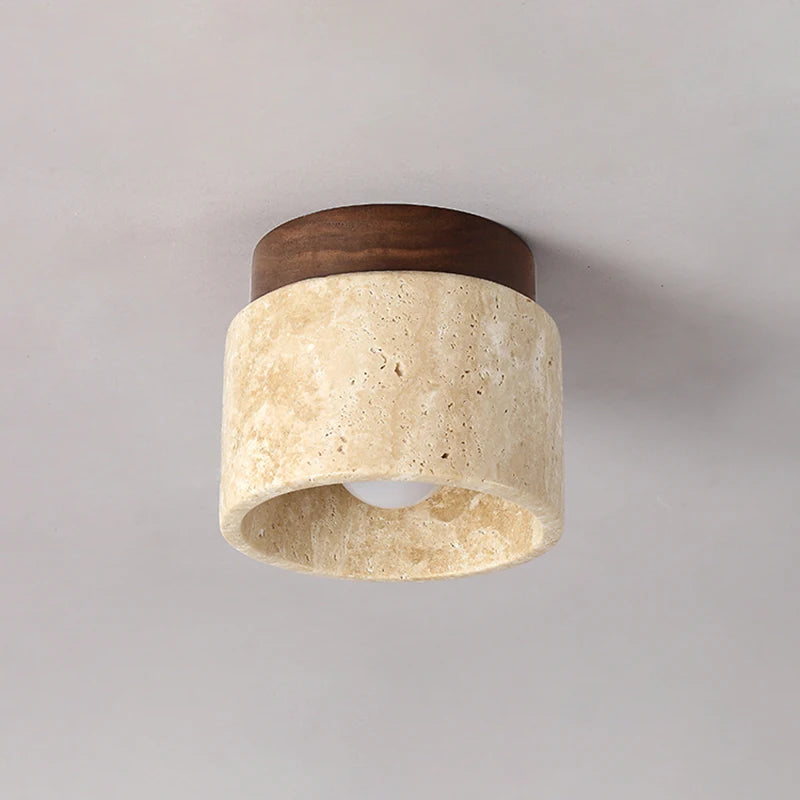 Stellar Arc Pendant Lamp