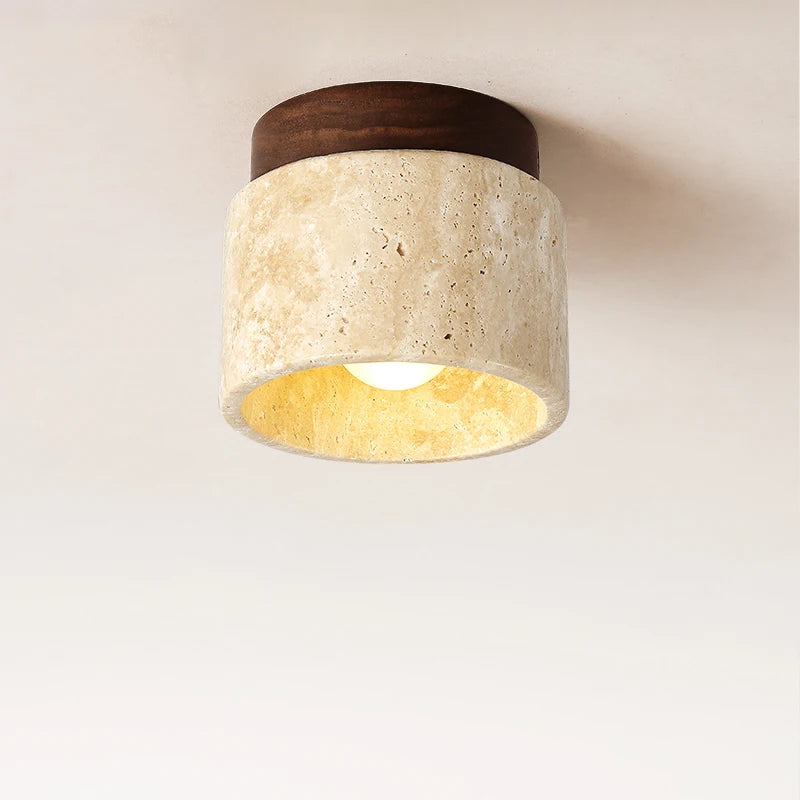 Stellar Arc Pendant Lamp